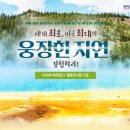 롯데관광서초