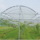 샤인하우스 이미지