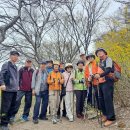 제645회 응봉산 수요산행 이미지