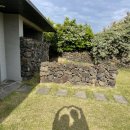 하도하도 3200 이미지