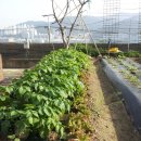 무지개상가 이미지