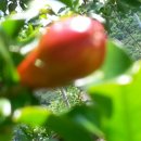 율이농장 이미지