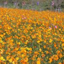 황산공원(황산B) 이미지