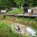 알파카 펜션 이미지