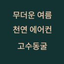 르노삼성자동차지정정비센터대명정비 | 고수동굴 입장료·주차장·소요시간 총정리
