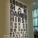 [서울 종로구] 다이아몬드 해골부터 포름알데히드 상어까지, 데이미언 허스트 전시 솔직 후기