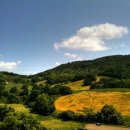 다온목장 이미지