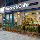 손플라워카페 이미지