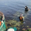 포항수산 이미지