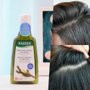 지성농장 | 지성두피 정수리 냄새 떡짐 케어 환승연애 규민 PICK 라우쉬 미역샴푸