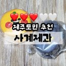 사계제과버터비 | [사계제과] 제주 빵지순례 마카롱 카페 내돈내산 솔직후기