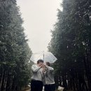 수이목장 이미지