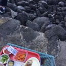 만복김밥 이미지