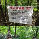 씨스터맘