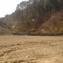 갑천농장 이미지