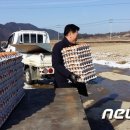 귀평 이미지