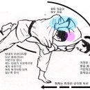 용인유도체육관 이미지