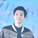 그린네이처 이미지