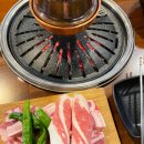 고기파마 이미지