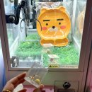 King 뽑기 이미지