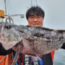 오천항뉴펜션 이미지