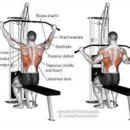 상남동169 이미지