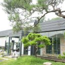 소나무향기 이미지