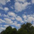 (유)푸른나라 이미지