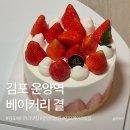 팡팡노래연습장 | 김포 운양역 빵집 추천 베이커리 결 ｜ 생일케이크 포장 내돈내산 후기