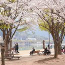수성못길 티스토리