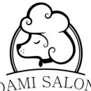 다미살롱 이미지