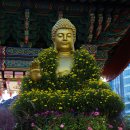 향기가있는풍경 이미지