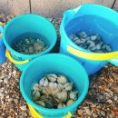 로제펜션 이미지