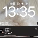 푸르르 | 광주 임동 중흥동 애견미용 추천 푸르르 후기