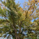 금지 보건진료소 이미지