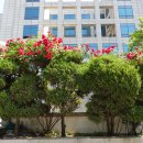 신용보증기금안양지점 이미지