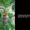 반도장여관 이미지