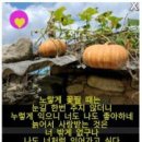 신토불이식품 이미지