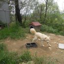 중장농장 이미지