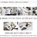 엔젤세탁소 이미지