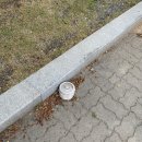 학암포자동차야영장 네이버블로그