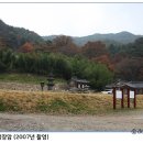 상(像) | 석탑의 양식과 시대별 특징