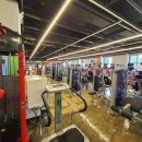 황금헬스 이미지