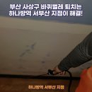 서부산방역 이미지