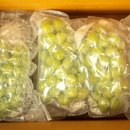 샤인광고 이미지