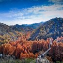 장*태 - 안양시 만안구 박달로545번길 | 장*태