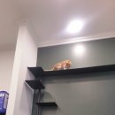 박형우동물병원 이미지