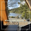 행복이 가득한 터 | [강원 횡성] 개냥이천국 ♥ 행복 가득한 노섬브리아 캠핑장