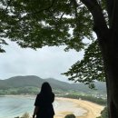 상주은모래비치주차장 이미지