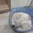 나온치과기공소 이미지